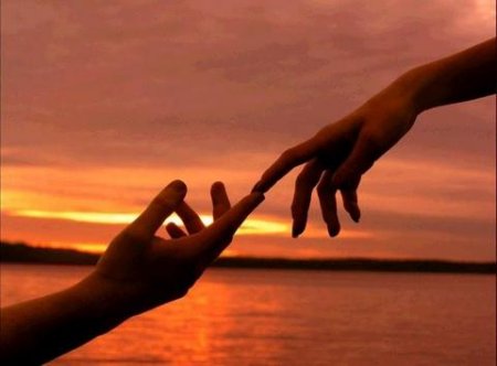 Article : Amour au vrai sens !